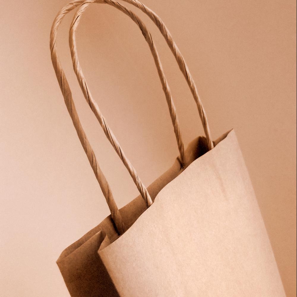 Bottle/Wine Paper Bags