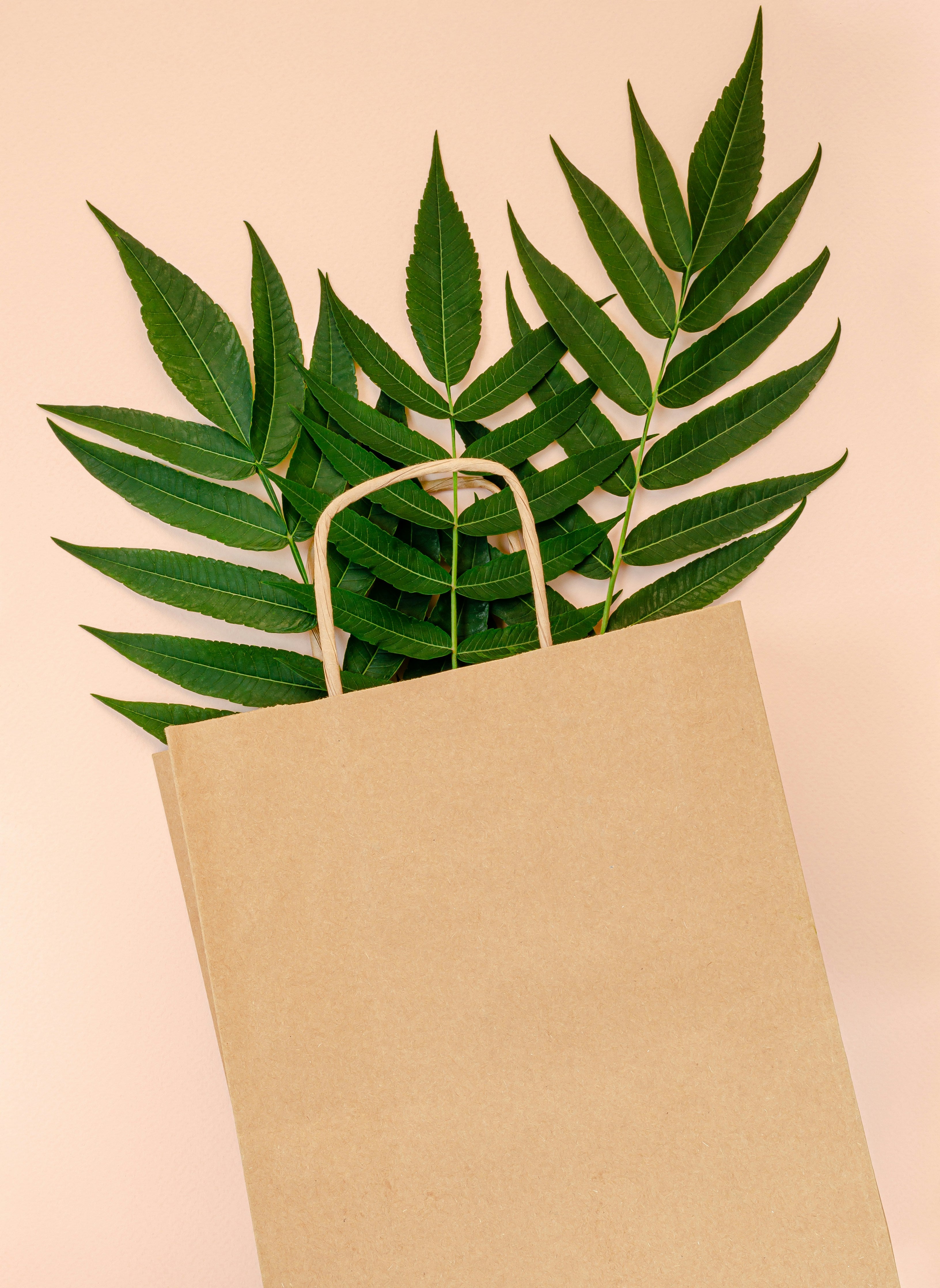 Brown Kraft Paper Bags