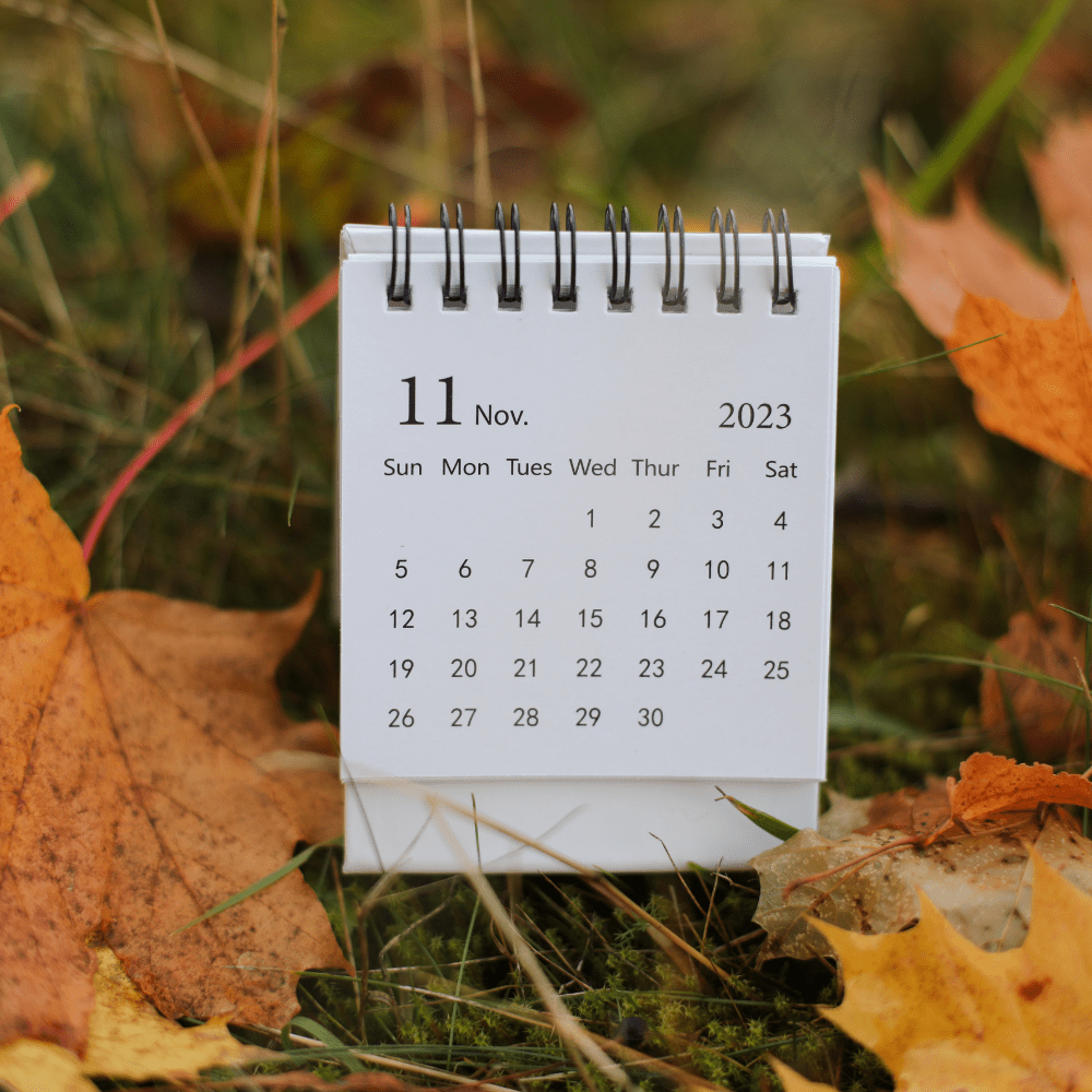 High quality Paper Calendar 